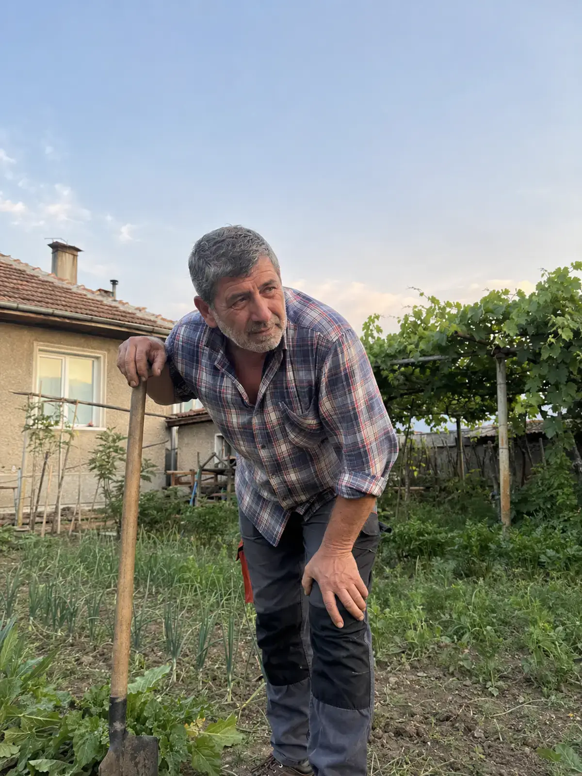 Пауза в двора